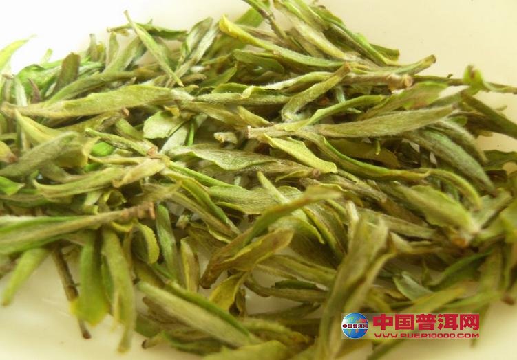 普洱茶