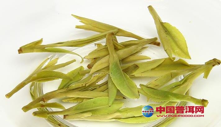 普洱茶