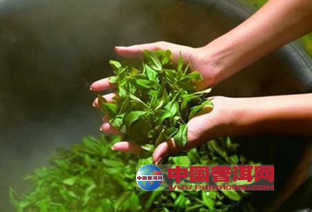 <u><a href='http://www.puer10000.com/puerzhishi/32854.html' target='_blank'>普洱<u><a href='http://www.puer10000.com/puerzhishi/100997.html' target='_blank'>茶</a></u></a></u>