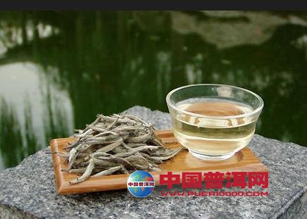 普洱茶