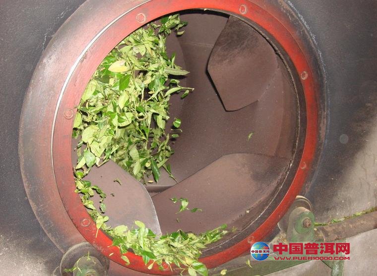 普洱茶
