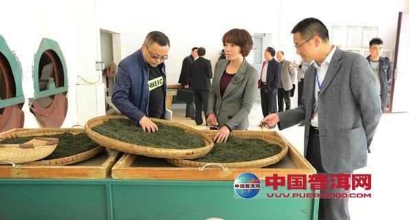 普洱茶