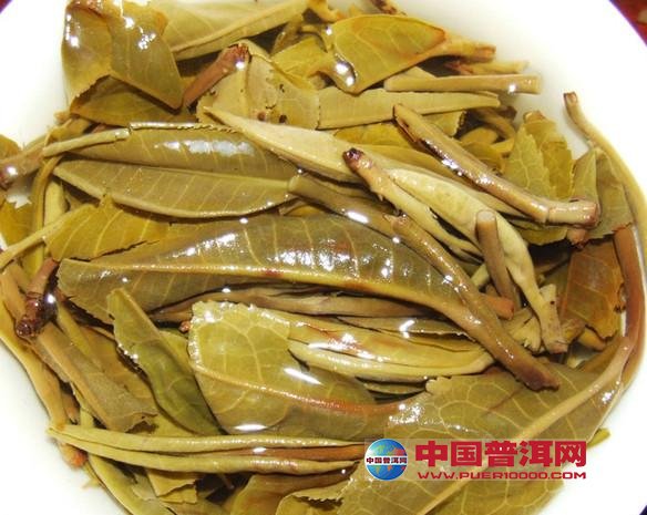 普洱茶