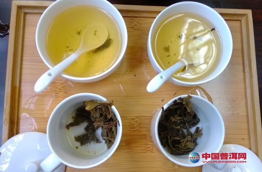 普洱茶