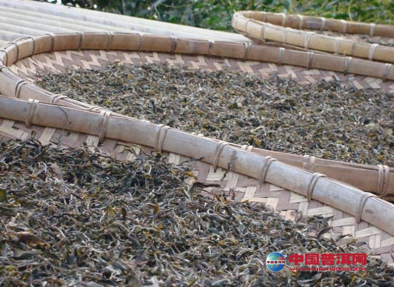 普洱茶