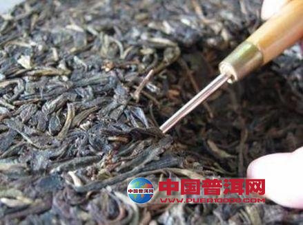 普洱茶