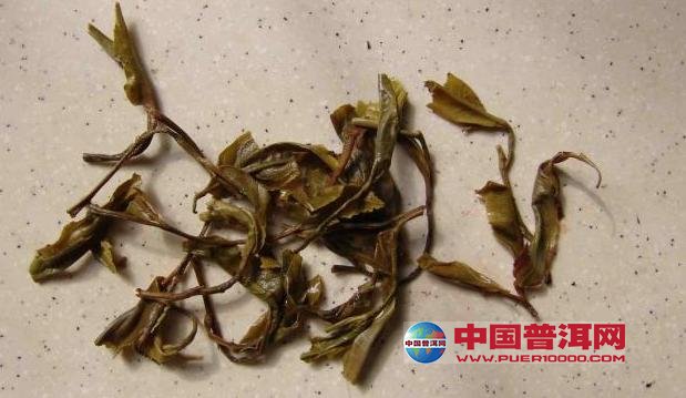 普洱茶