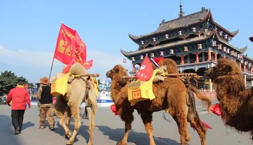 普洱茶