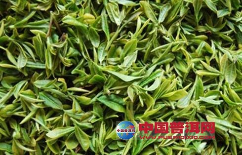 普洱茶