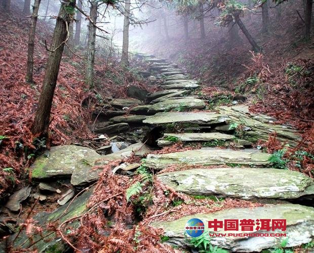 <u><a href='http://www.puer10000.com/puerzhishi/32854.html' target='_blank'>普洱<u><a href='http://www.puer10000.com/puerzhishi/100997.html' target='_blank'>茶</a></u></a></u>