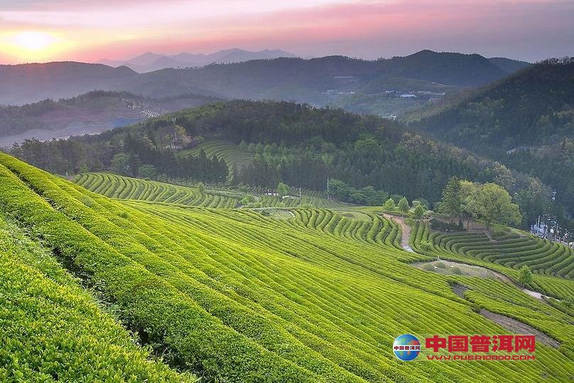 <u><a href='http://www.puer10000.com/puerzhishi/32854.html' target='_blank'>普洱<u><a href='http://www.puer10000.com/puerzhishi/100997.html' target='_blank'>茶</a></u></a></u>