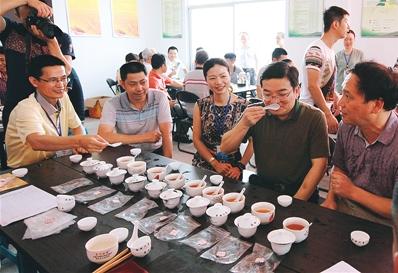 普洱茶