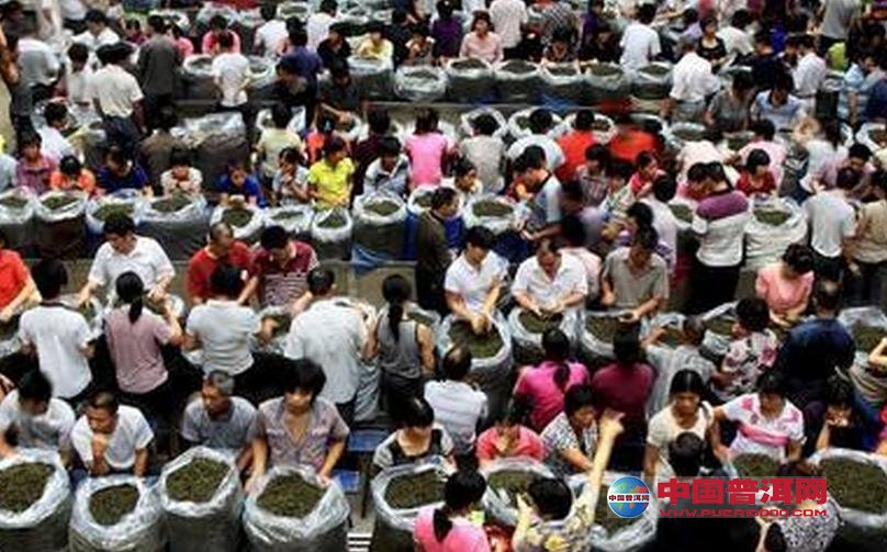 普洱茶