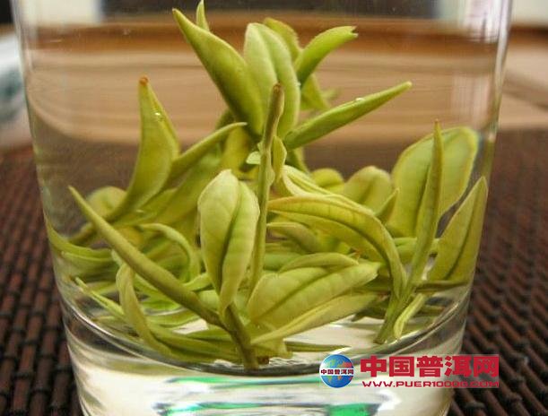 <u><a href='http://www.puer10000.com/puerzhishi/32854.html' target='_blank'>ն<u><a href='http://www.puer10000.com/puerzhishi/100997.html' target='_blank'></a></u></a></u>