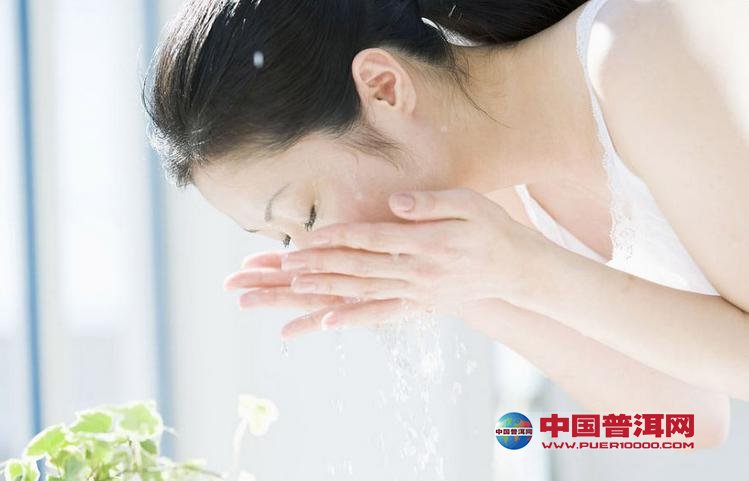 普洱茶