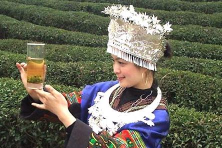 普洱茶