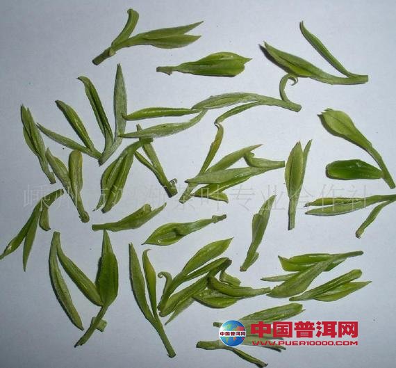 <u><a href='http://www.puer10000.com/puerzhishi/32854.html' target='_blank'>ն<u><a href='http://www.puer10000.com/puerzhishi/100997.html' target='_blank'></a></u></a></u>