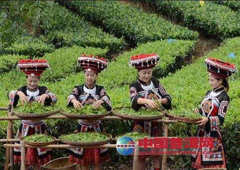 <u><a href='http://www.puer10000.com/puerzhishi/32854.html' target='_blank'>ն<u><a href='http://www.puer10000.com/puerzhishi/100997.html' target='_blank'></a></u></a></u>