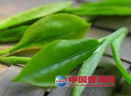 <u><a href='http://www.puer10000.com/puerzhishi/32854.html' target='_blank'>ն<u><a href='http://www.puer10000.com/puerzhishi/100997.html' target='_blank'></a></u></a></u>