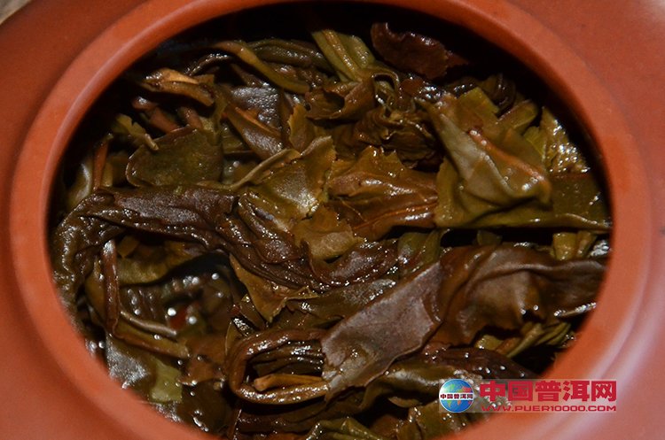 普洱茶