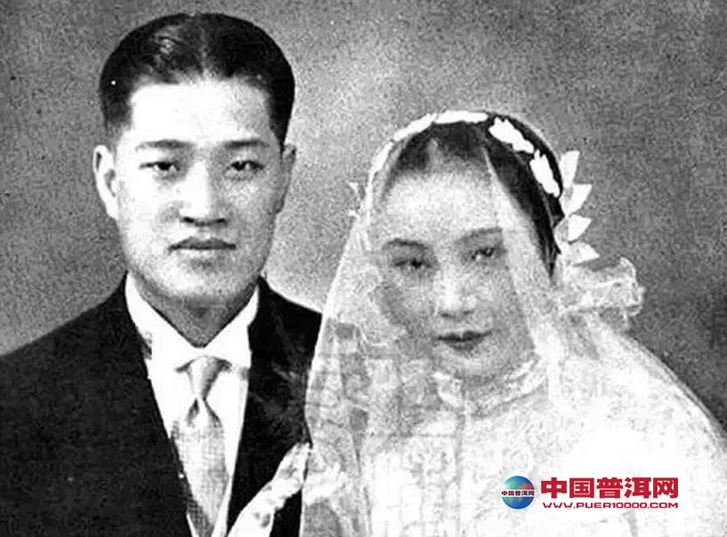 普洱茶