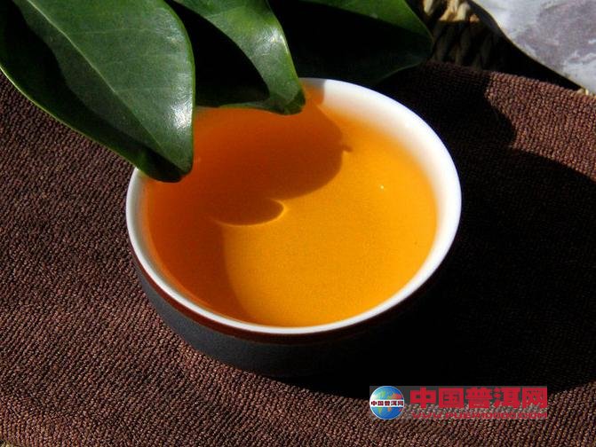 普洱茶