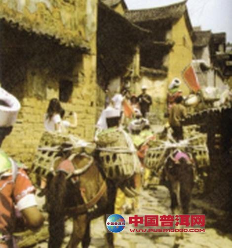 <u><a href='http://www.puer10000.com/puerzhishi/32854.html' target='_blank'>ն<u><a href='http://www.puer10000.com/puerzhishi/100997.html' target='_blank'></a></u></a></u>