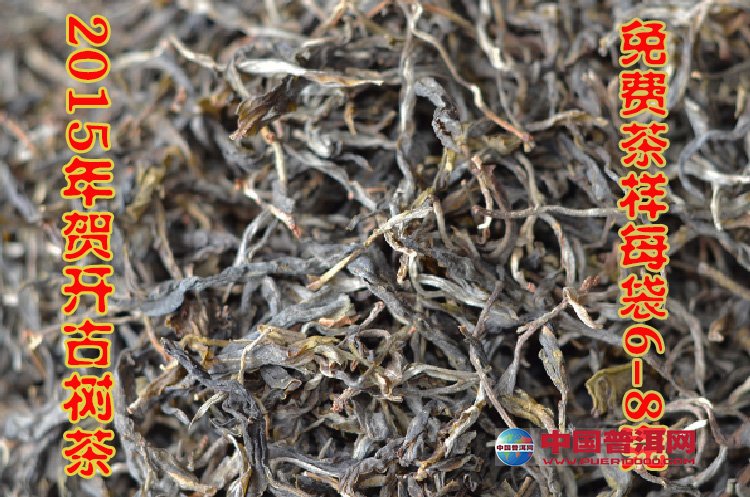 普洱茶