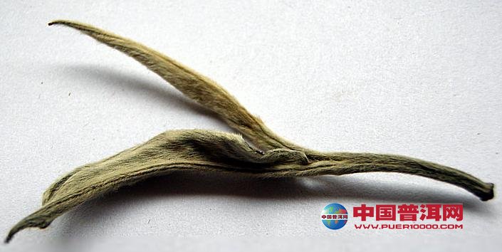 <u><a href='http://www.puer10000.com/puerzhishi/32854.html' target='_blank'>ն<u><a href='http://www.puer10000.com/puerzhishi/100997.html' target='_blank'></a></u></a></u>