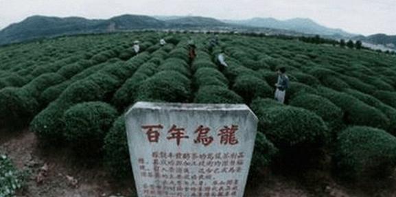 <u><a href='http://www.puer10000.com/puerzhishi/32854.html' target='_blank'>ն<u><a href='http://www.puer10000.com/puerzhishi/100997.html' target='_blank'></a></u></a></u>