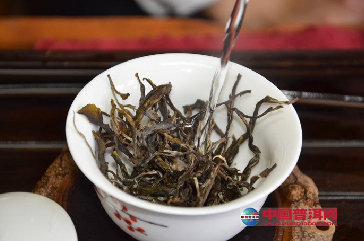 普洱茶