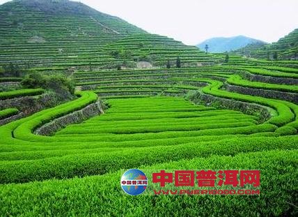 <u><a href='http://www.puer10000.com/puerzhishi/32854.html' target='_blank'>ն<u><a href='http://www.puer10000.com/puerzhishi/100997.html' target='_blank'></a></u></a></u>
