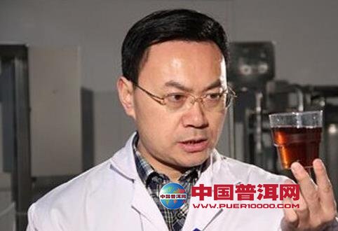 普洱茶