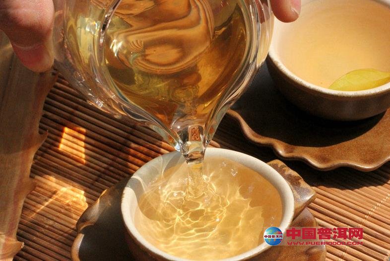 普洱茶