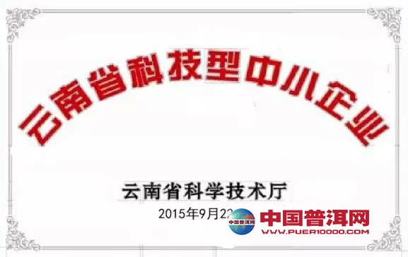 普洱茶