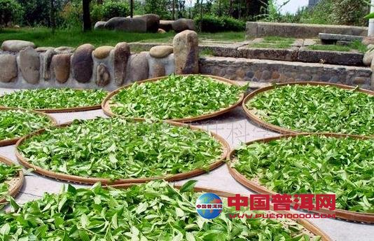 <u><a href='http://www.puer10000.com/puerzhishi/32854.html' target='_blank'>ն<u><a href='http://www.puer10000.com/puerzhishi/100997.html' target='_blank'></a></u></a></u>