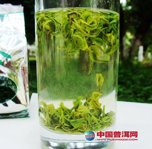 普洱茶