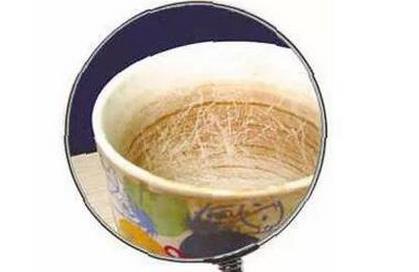 普洱茶