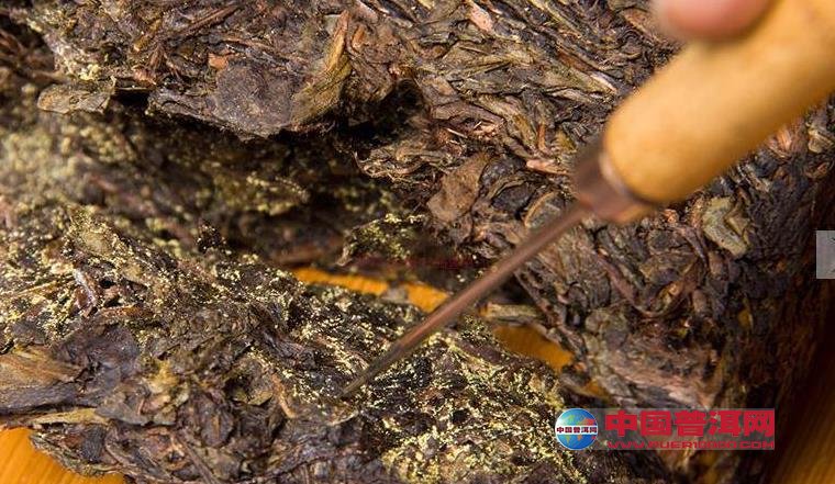 普洱茶