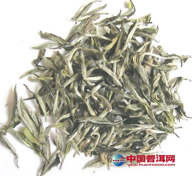 <u><a href='http://www.puer10000.com/puerzhishi/32854.html' target='_blank'>普洱<u><a href='http://www.puer10000.com/puerzhishi/100997.html' target='_blank'>茶</a></u></a></u>