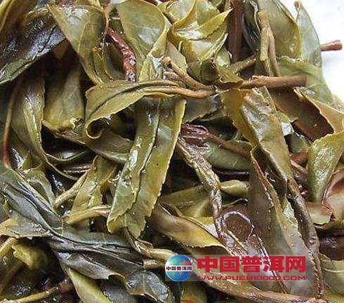 普洱茶