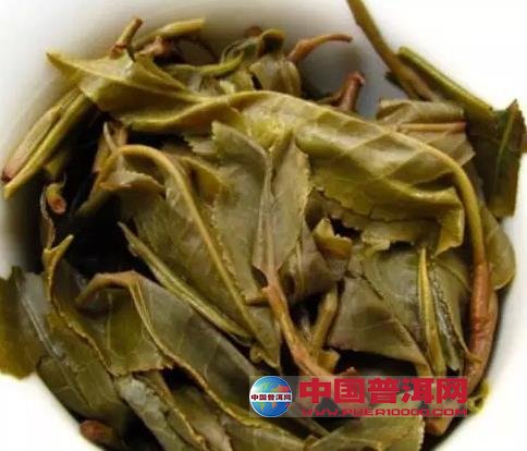 普洱茶