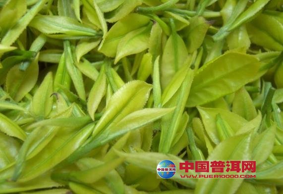 <u><a href='http://www.puer10000.com/puerzhishi/32854.html' target='_blank'>ն<u><a href='http://www.puer10000.com/puerzhishi/100997.html' target='_blank'></a></u></a></u>
