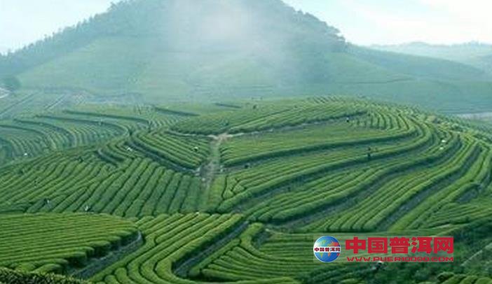<u><a href='http://www.puer10000.com/puerzhishi/32854.html' target='_blank'>普洱<u><a href='http://www.puer10000.com/puerzhishi/100997.html' target='_blank'>茶</a></u></a></u>
