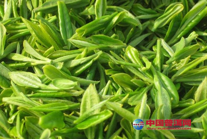 <u><a href='http://www.puer10000.com/puerzhishi/32854.html' target='_blank'>普洱<u><a href='http://www.puer10000.com/puerzhishi/100997.html' target='_blank'>茶</a></u></a></u>