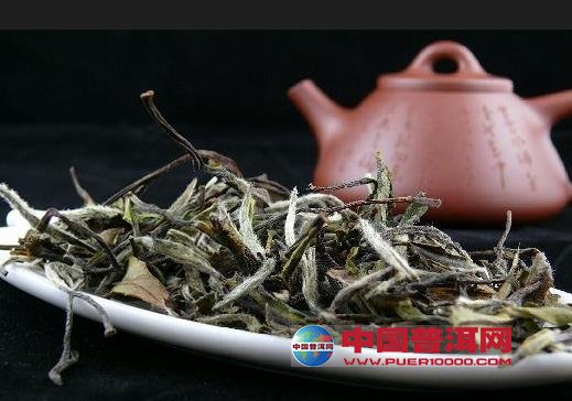 <u><a href='http://www.puer10000.com/puerzhishi/32854.html' target='_blank'>ն<u><a href='http://www.puer10000.com/puerzhishi/100997.html' target='_blank'></a></u></a></u>