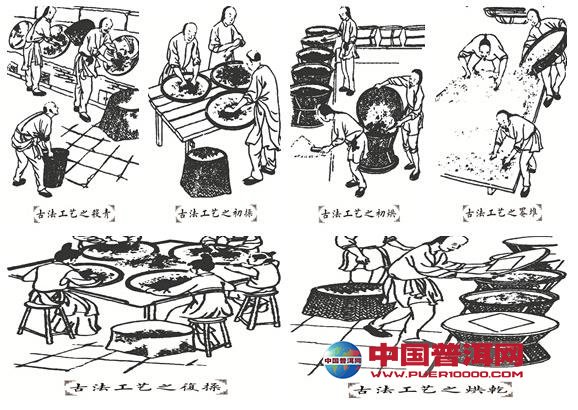 <u><a href='http://www.puer10000.com/puerzhishi/32854.html' target='_blank'>ն<u><a href='http://www.puer10000.com/puerzhishi/100997.html' target='_blank'></a></u></a></u>
