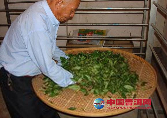 <u><a href='http://www.puer10000.com/puerzhishi/32854.html' target='_blank'>普洱<u><a href='http://www.puer10000.com/puerzhishi/100997.html' target='_blank'>茶</a></u></a></u>