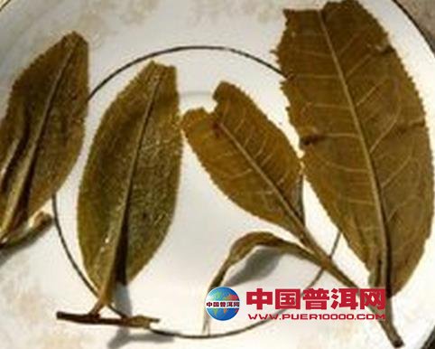 普洱茶