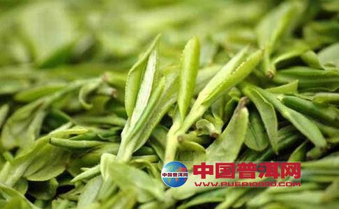 <u><a href='http://www.puer10000.com/puerzhishi/32854.html' target='_blank'>ն<u><a href='http://www.puer10000.com/puerzhishi/100997.html' target='_blank'></a></u></a></u>